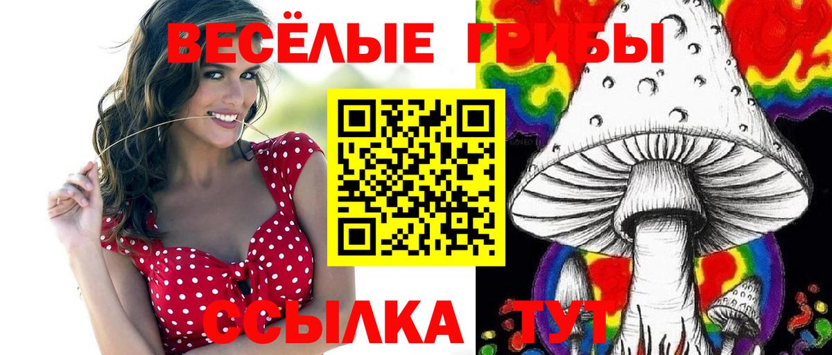 Псилоцибиновые грибы Psilocybe Балабаново